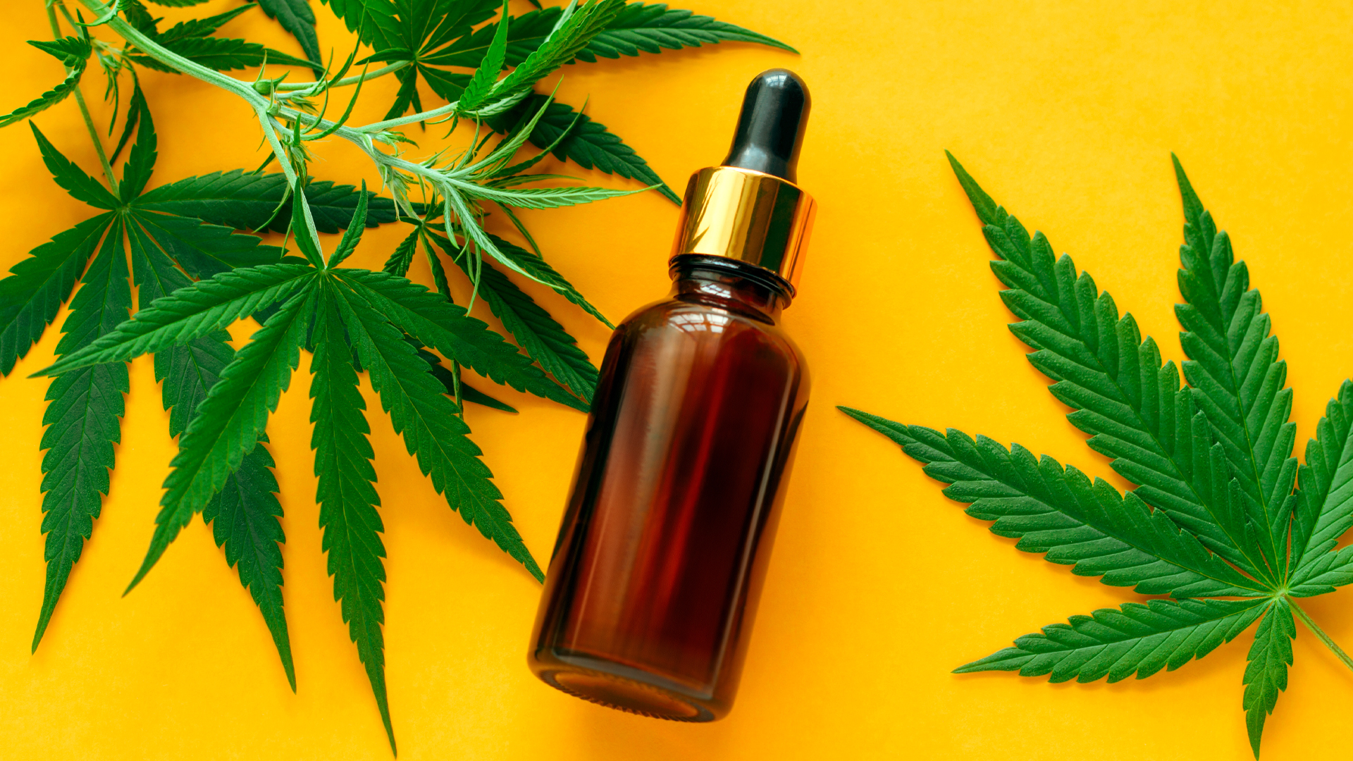 Why CBD Oil always is the first preference of Humans?